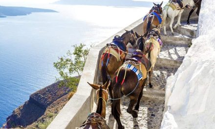 CNN: Η Ελλάδα απαγορεύει σε υπέρβαρους τουρίστες να ανεβαίνουν στα γαϊδουράκια της Σαντορίνης