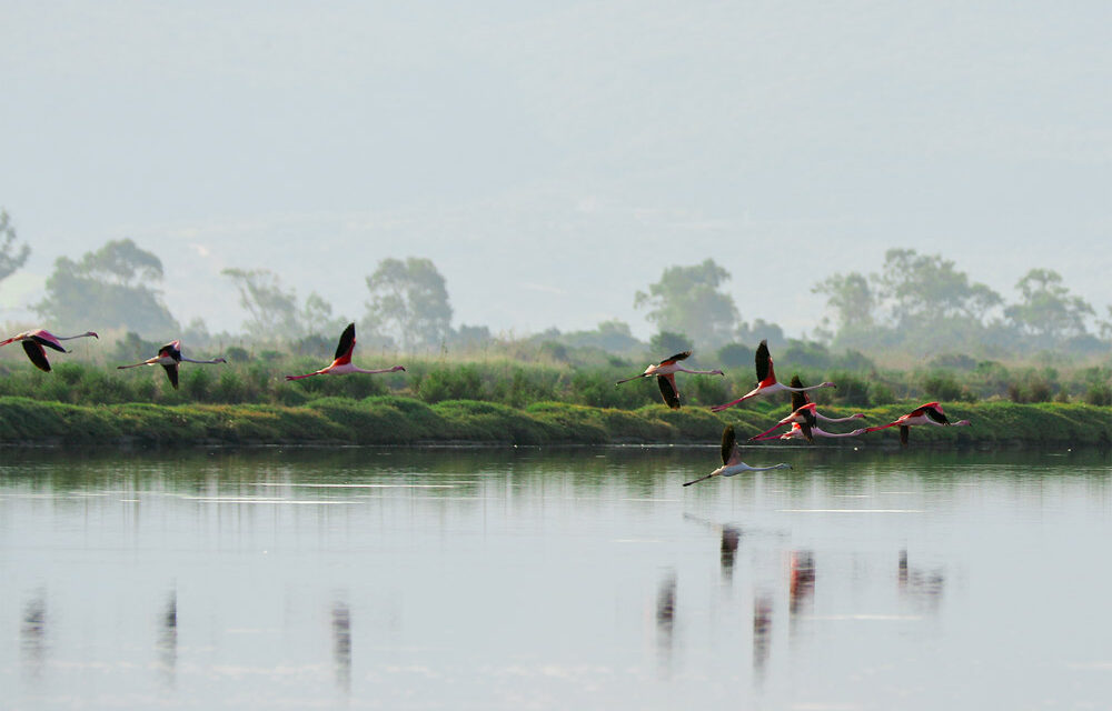 Navarino Challenge: Με στόχο τον αειφόρο αθλητικό τουρισμό στην Ελλάδα