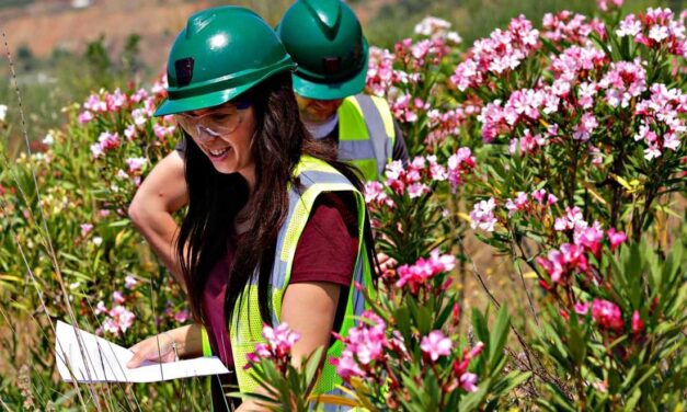 Μία από τις σημαντικότερες επενδύσεις στην Ελλάδα με φόντο τα μεταλλεία της Κασσάνδρας