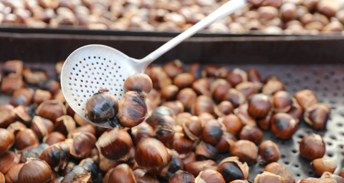 Γιορτή κάστανου και ευκαιρία… για φθινοπωρινές αποδράσεις!