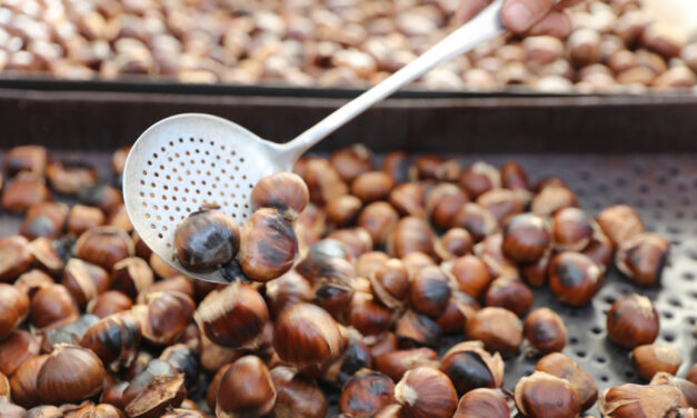 Γιορτή κάστανου και ευκαιρία… για φθινοπωρινές αποδράσεις!