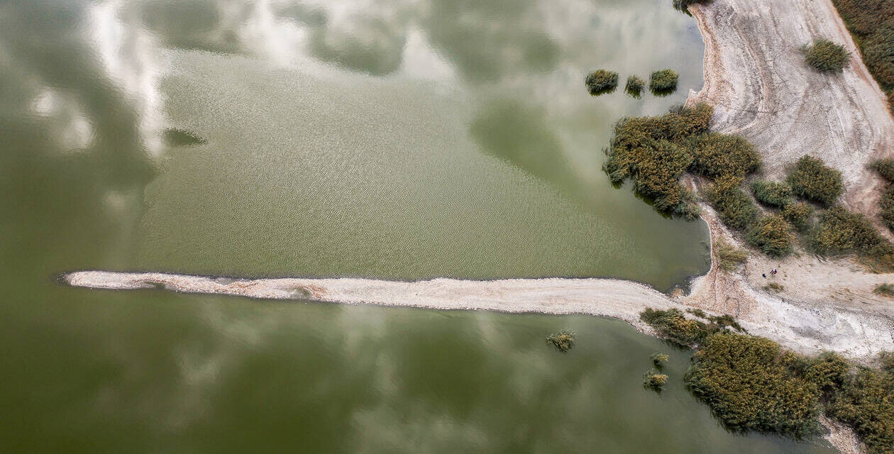 Γεμάτη νεκρά ψάρια η λίμνη Κορώνεια – Τι έδειξαν οι εργαστηριακές αναλύσεις