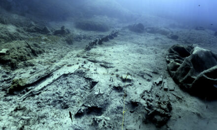 Το Ναυάγιο ΜΕΝΤΩΡ συνεχίζει να αποκαλύπτει μυστικά – Σημαντικά ευρήματα έφεραν στο φως οι ανασκαφές