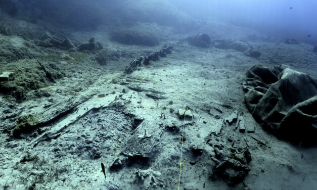 Το Ναυάγιο ΜΕΝΤΩΡ συνεχίζει να αποκαλύπτει μυστικά – Σημαντικά ευρήματα έφεραν στο φως οι ανασκαφές