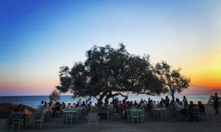 You are the Passenger!