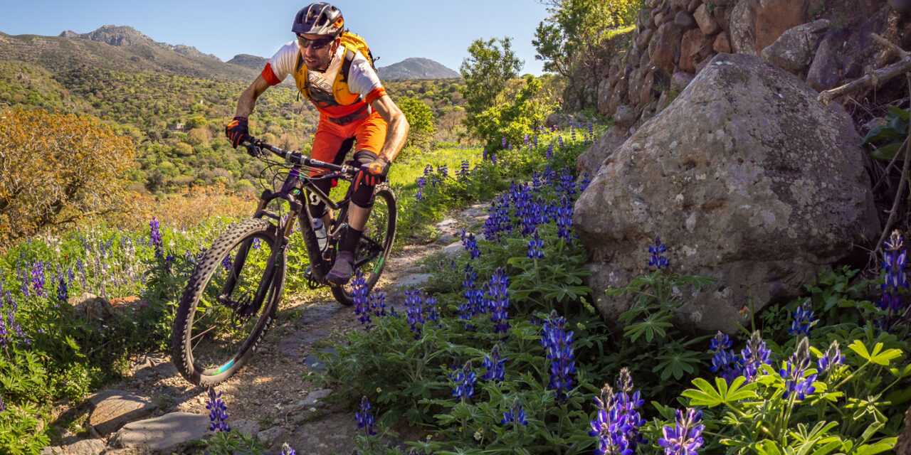 Παγκόσμια ποδηλατική φιέστα για ακόμα μία χρονιά στην Κω