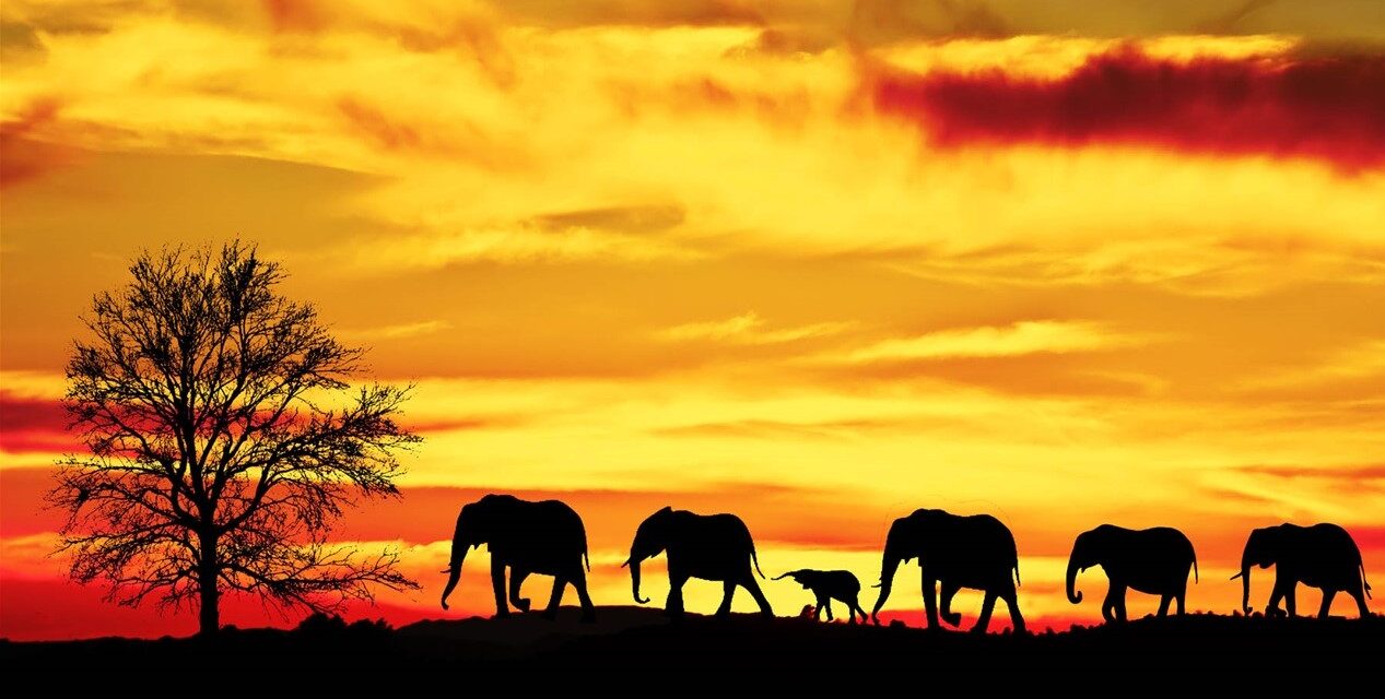 8 πράγματα που δεν γνωρίζατε για την Αφρική