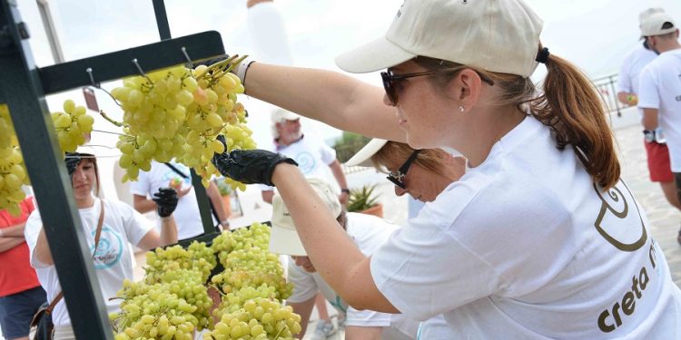 Όταν ο τουρισμός συναντά την παράδοση: Δύο Κρητικά έθιμα αναβίωσαν στο Creta Maris Beach Resort