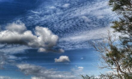 Συνεχίζεται η ζέστη – Πότε αλλάζει ο καιρός