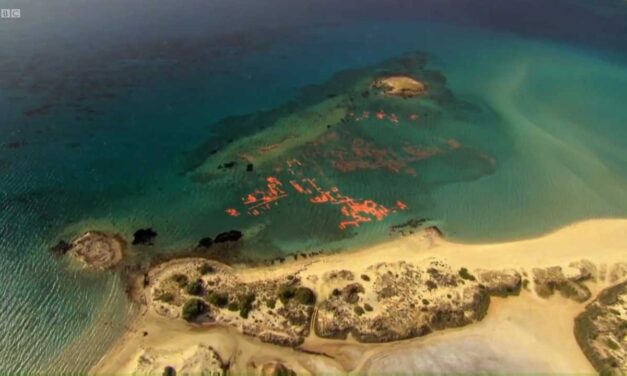 Η αρχαιότερη πόλη του κόσμου είναι ελληνική και βρίσκεται στη Λακωνία