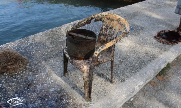 Η Θάσος εκπέμπει SOS: Βυθός και παραλίες γέμισαν σκουπίδια