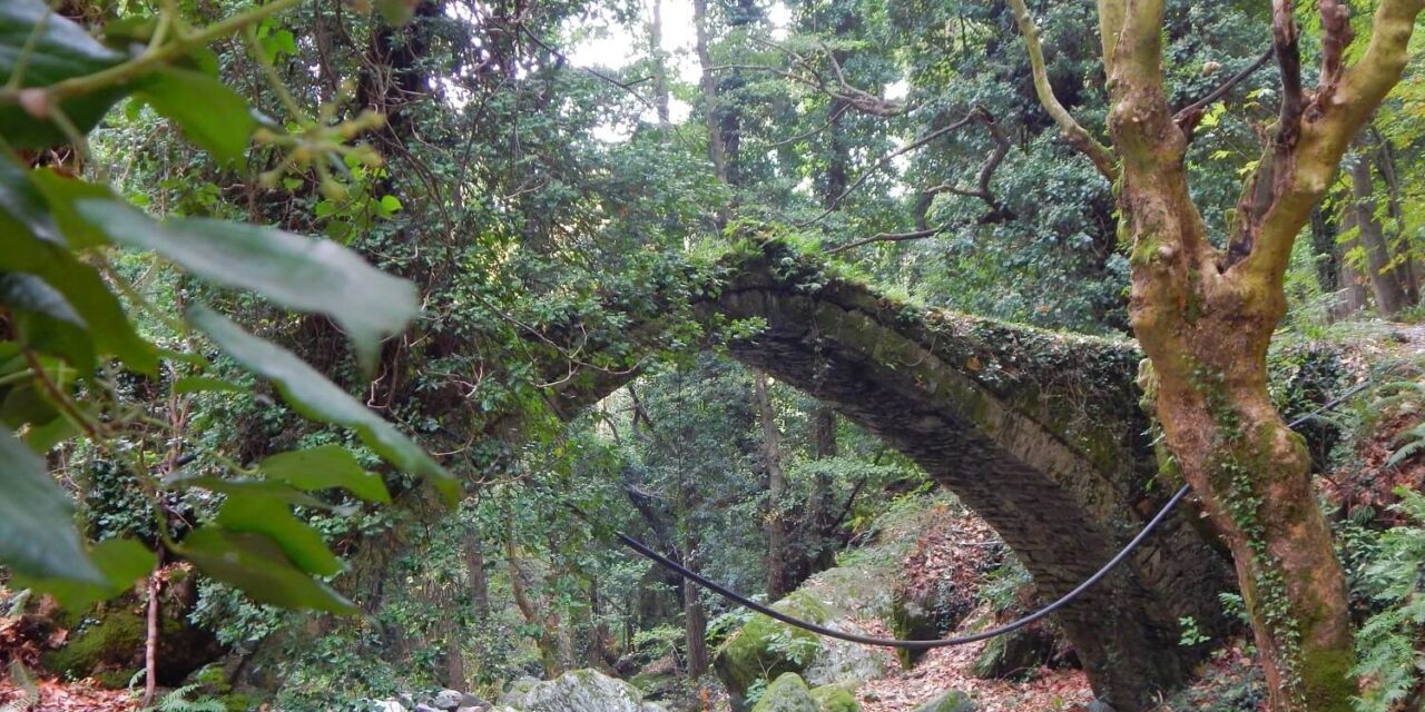 Φθινόπωρο στο Πήλιο: To «7ο Tsagarada Escape Festival» μόλις έφτασε