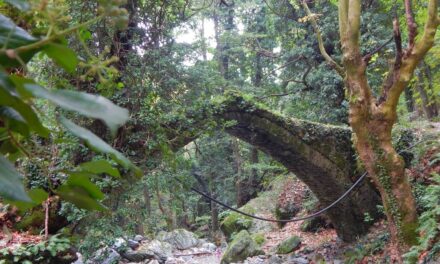 Φθινόπωρο στο Πήλιο: To «7ο Tsagarada Escape Festival» μόλις έφτασε