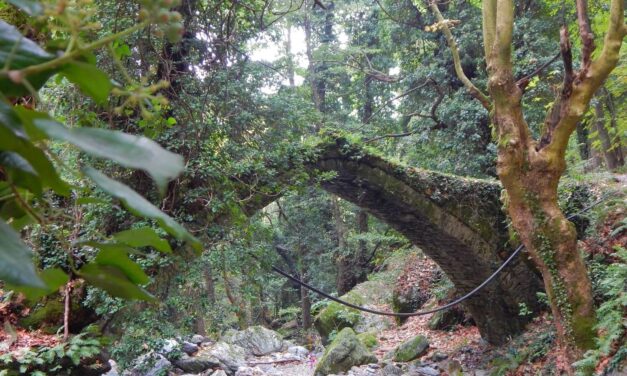 Φθινόπωρο στο Πήλιο: To «7ο Tsagarada Escape Festival» μόλις έφτασε