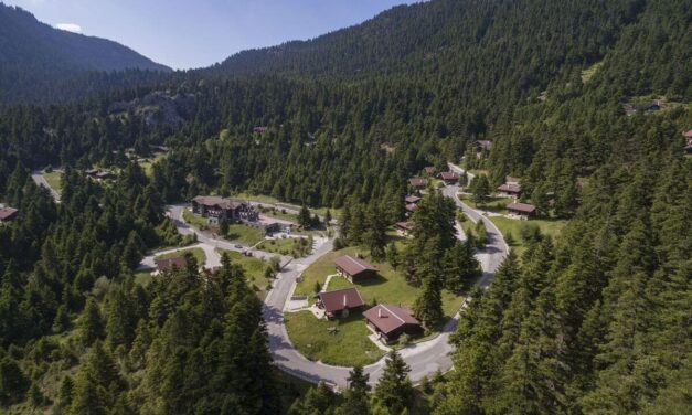 Elatos Resort: Απόδραση ευεξίας στην καρδιά του Παρνασσού