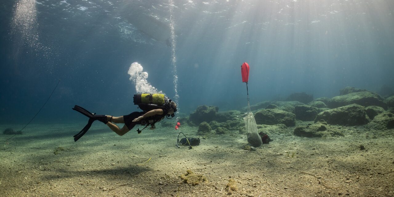 Ανακαλύφθηκαν 5 αρχαία ναυάγια στην Κάσο – Ευρύματα που εντυπωσιάζουν