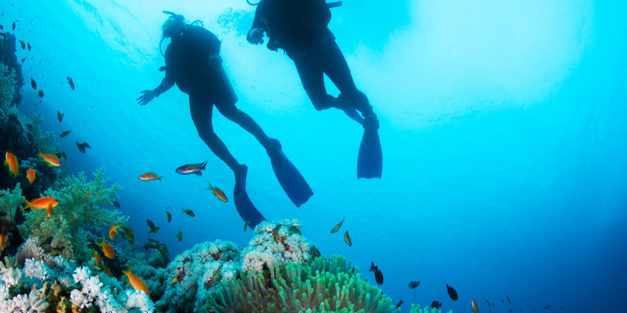 Στην τελική ευθεία το νέο νομοσχέδιο για τον καταδυτικό τουρισμό