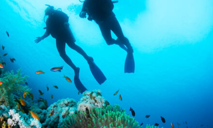 Στην τελική ευθεία το νέο νομοσχέδιο για τον καταδυτικό τουρισμό