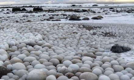 Ένα μοναδικό θέαμα στη Φινλανδία: Μπάλες πάγου κάλυψαν μια ολόκληρη παραλία