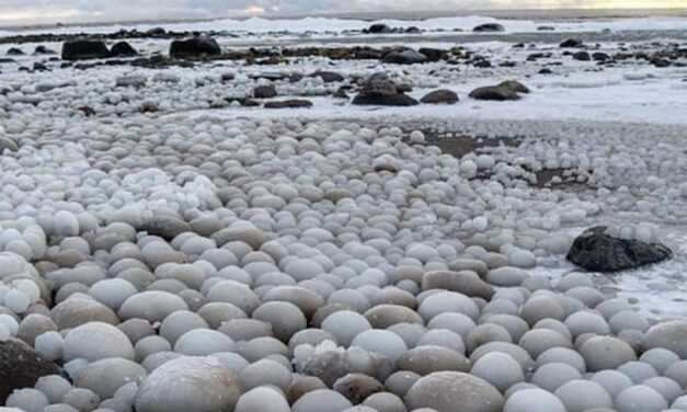 Ένα μοναδικό θέαμα στη Φινλανδία: Μπάλες πάγου κάλυψαν μια ολόκληρη παραλία