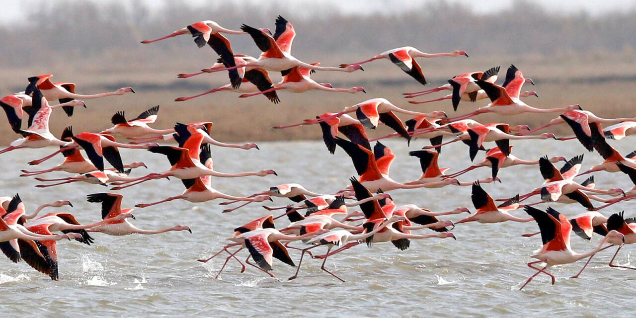 Έβρος: Κρυμμένος θησαυρός στην άκρη της Ελλάδας
