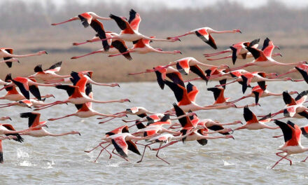 Έβρος: Κρυμμένος θησαυρός στην άκρη της Ελλάδας