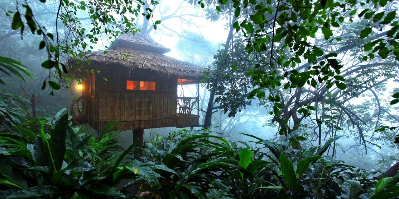 Δενδρόσπιτα σε εξωτικές γωνιές διαθέσιμα μέσω της AirBnB!