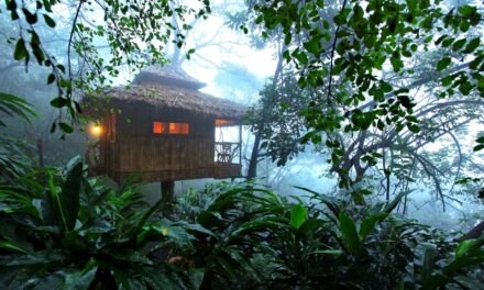 Δενδρόσπιτα σε εξωτικές γωνιές διαθέσιμα μέσω της AirBnB!