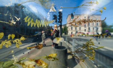 Πολωνία: Σε μουσείο λουλουδιών μετατράπηκε μία στάση του τραμ