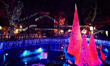 Μαγικό χριστουγεννιάτικο ταξίδι στην Ονειρούπολη Δράμας