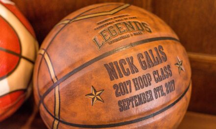 Navarino Challenge 2019: Δημοπρασία αγάπης – Εμφανίσεις, μπάλες και έργα τέχνης για καλό σκοπό