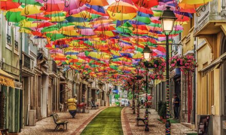 Αυτοί είναι οι πιο όμορφοι δρόμοι του κόσμου – Αναμεσά τους και ένας ελληνικός!