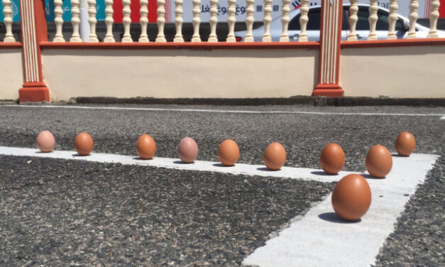 Το πείραμα με τα αυγά που στέκονται όρθια κατά τη διάρκεια της έκλειψης – Έγινε viral!