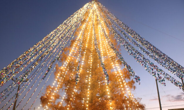 Ιαπωνία: Ρεκόρ Γκίνες για το χριστουγεννιάτικο δέντρο στολισμένο με 51.626 κάρτες