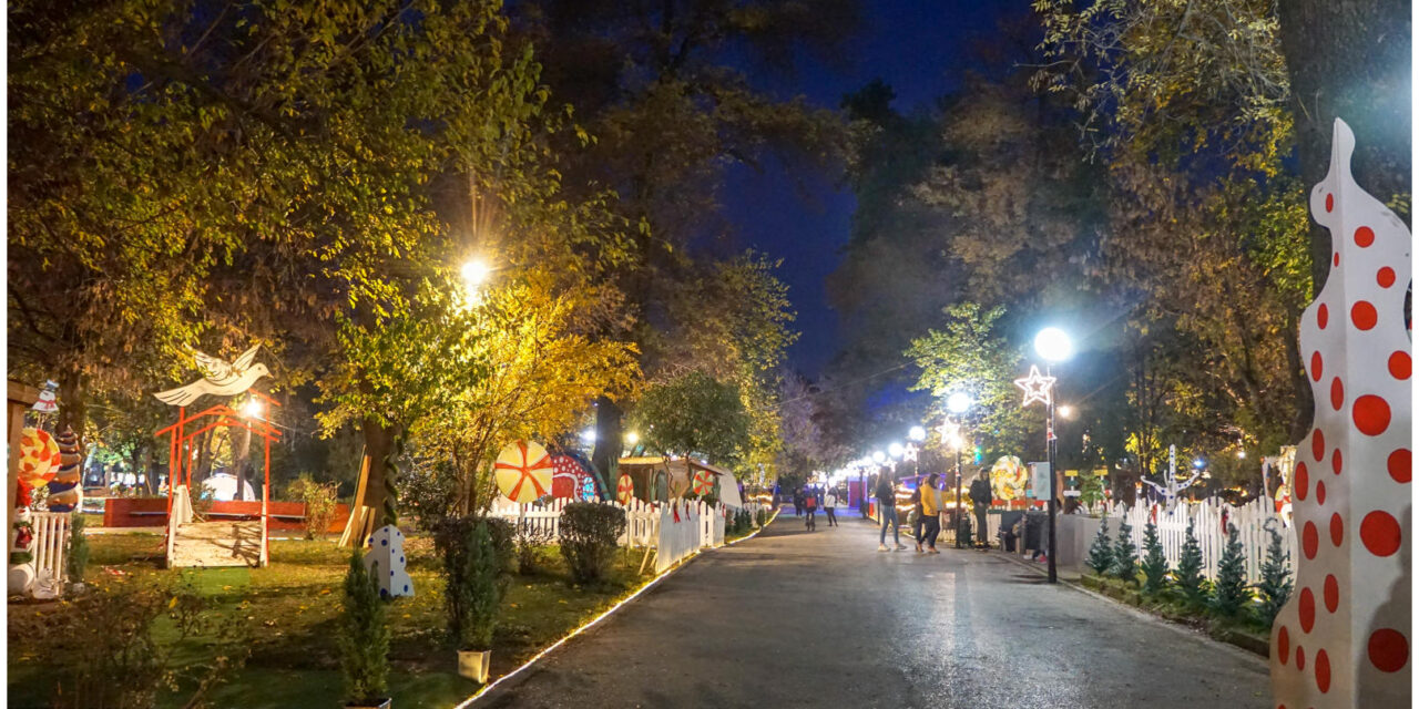 Χριστούγεννα στο μαγεμένο δάσος της Καρδίτσας!