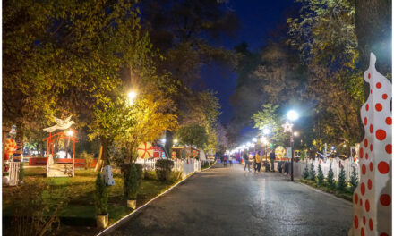 Χριστούγεννα στο μαγεμένο δάσος της Καρδίτσας!