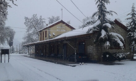 Στα λευκά ντύθηκαν τα Καλάβρυτα – Μαγευτικές εικόνες