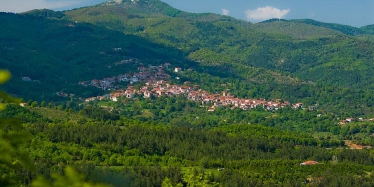 Αυτό το ελληνικό χωριό παράγει το 70% των χριστουγεννιάτικων δέντρων