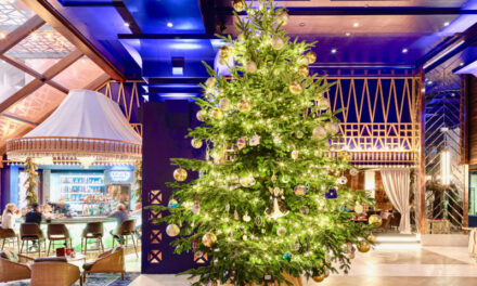 Αυτό είναι το πιο ακριβό χριστουγεννιάτικο δέντρο στον κόσμο – Δείτε που βρίσκεται