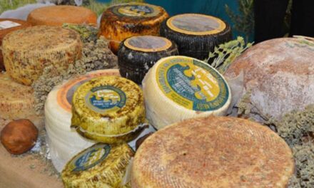 Το «Αρσενικό Νάξου» έγινε το νέο ΠΟΠ ελληνικό τυρί