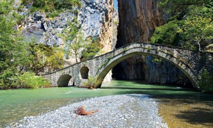 Γρεβενά: Ταξίδι στην πόλη των μανιταριών