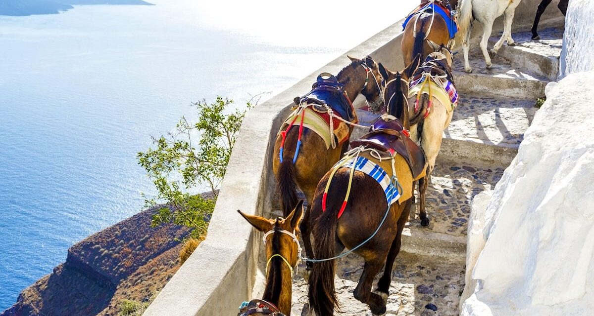 CNN για Σαντορίνη: Ο υπερτουρισμός, τα γαϊδουράκια και οι υπέρβαροι