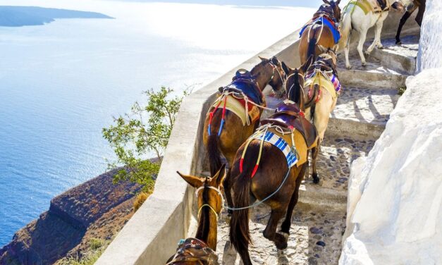 CNN για Σαντορίνη: Ο υπερτουρισμός, τα γαϊδουράκια και οι υπέρβαροι