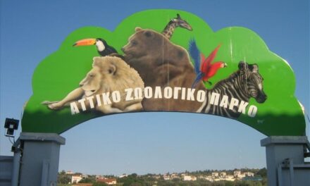 Νέες επενδύσεις 13,5 εκ ευρώ στο Αττικό Ζωολογικό Πάρκο – Έρχονται waterpark , ξενοδοχείο & ενυδρείο!
