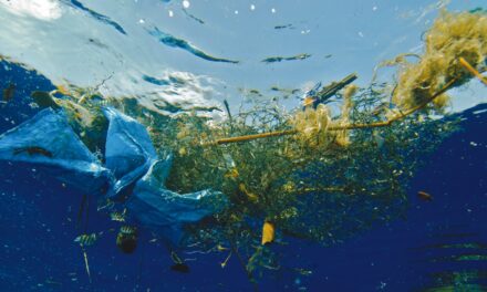 Πρόστιμα 390.713 ευρώ για μόλυνση του θαλάσσιου περιβάλλοντος το 2019