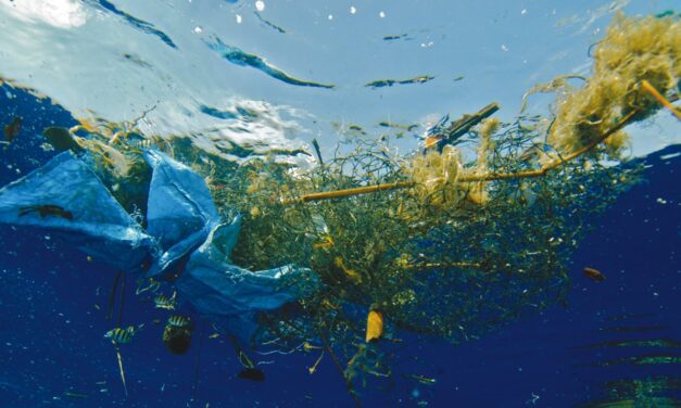 Πρόστιμα 390.713 ευρώ για μόλυνση του θαλάσσιου περιβάλλοντος το 2019