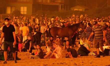 Αυστραλία: Εγκλωβισμένοι σε παραλία περιμένουν να σωθούν από τις φωτιές- Σοκαριστικές εικόνες