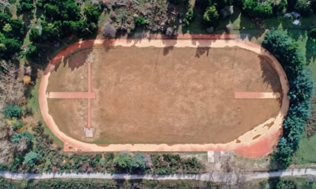 Πάρνηθα: Το γήπεδο-«φάντασμα» όπου «προπονούνται» λύκοι και ελάφια (video)