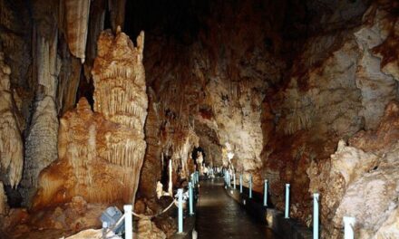 Ρομποτ που θα μιλάει 40 γλώσσες θα κάνει ξεναγήσεις σε σπήλαιο – Δείτε που
