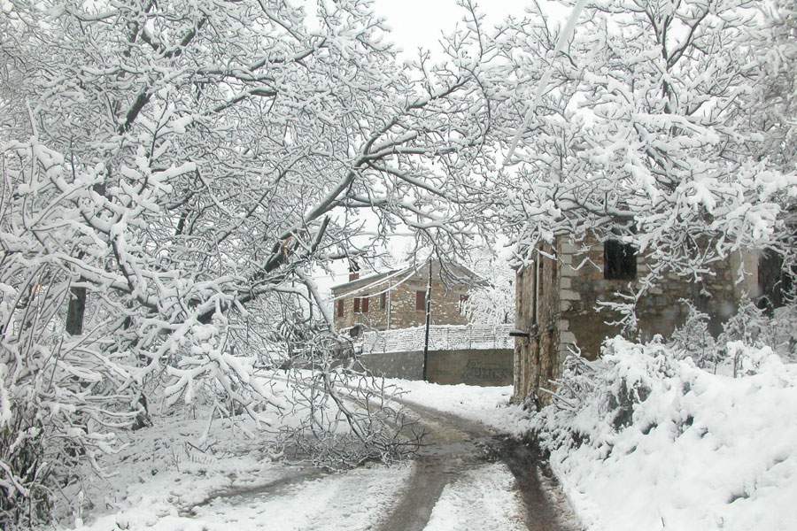 Ελατοχώρι: Απόδραση στην καρδιά της Ορεινής Πιερίας